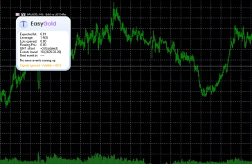 /img/landing/metatrader_expert_advisors/easygold_3.webp_2