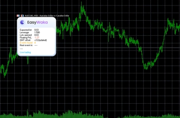 /img/landing/metatrader_expert_advisors/easywaka_3.webp_2